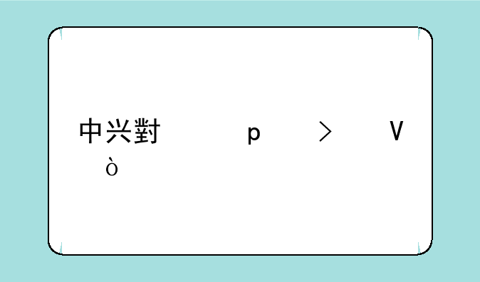 中兴小鲜5s参数？