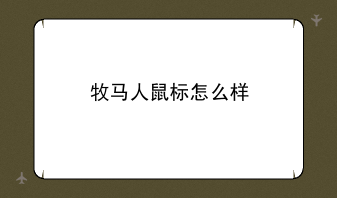 牧马人鼠标怎么样