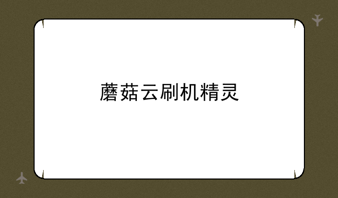 蘑菇云刷机精灵