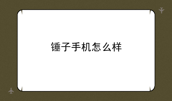 锤子手机怎么样