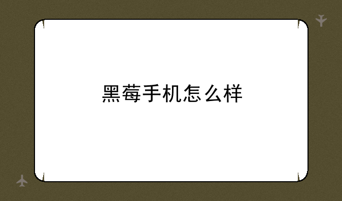 黑莓手机怎么样