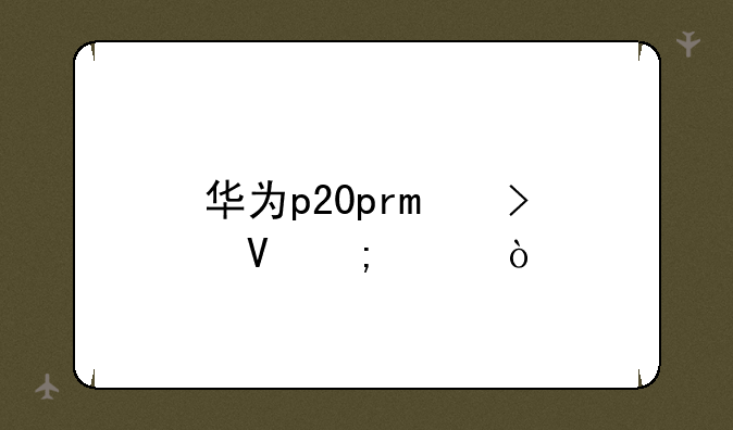 华为p20pro参数怎样？