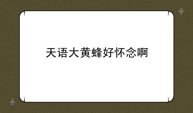 天语大黄蜂好怀念啊