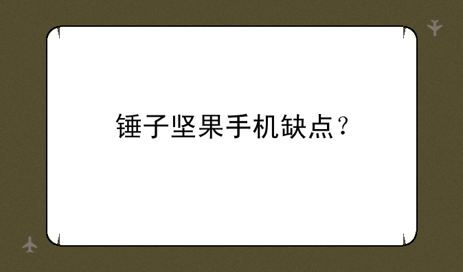 锤子坚果手机缺点？