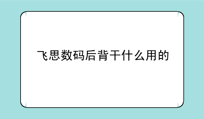 飞思数码后背干什么用的