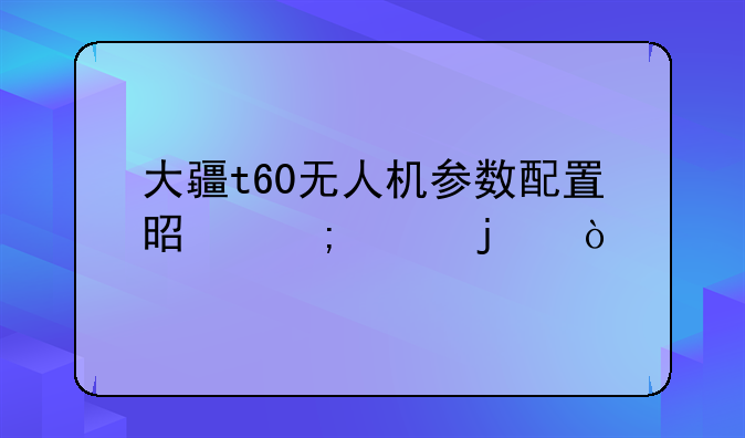 大疆t60无人机参数配置是怎样的？