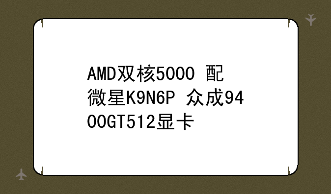 AMD双核5000+配+微星K9N6P+众成9400GT512显卡;七彩虹逸