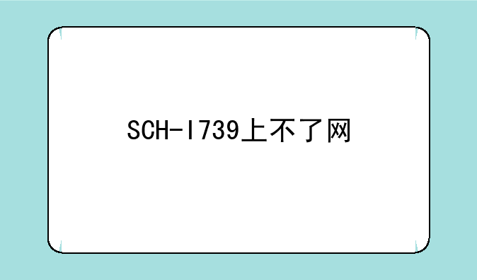 SCH-I739上不了网