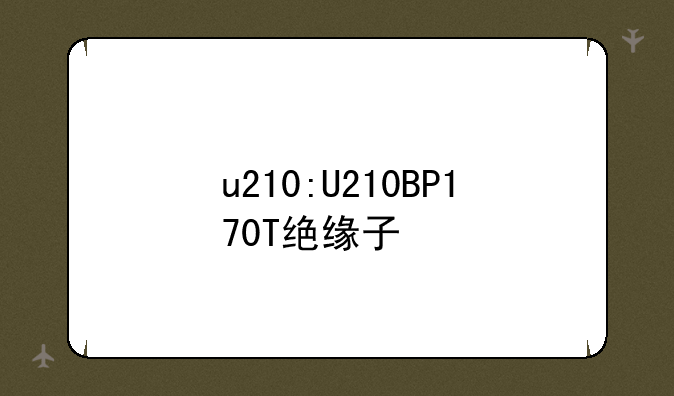 u210:U210BP170T绝缘子