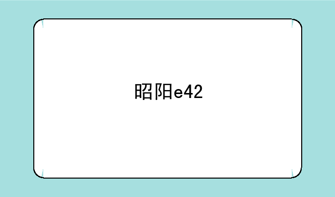 昭阳e42