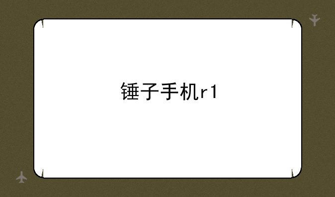 锤子手机r1