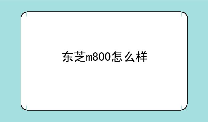 东芝m800怎么样