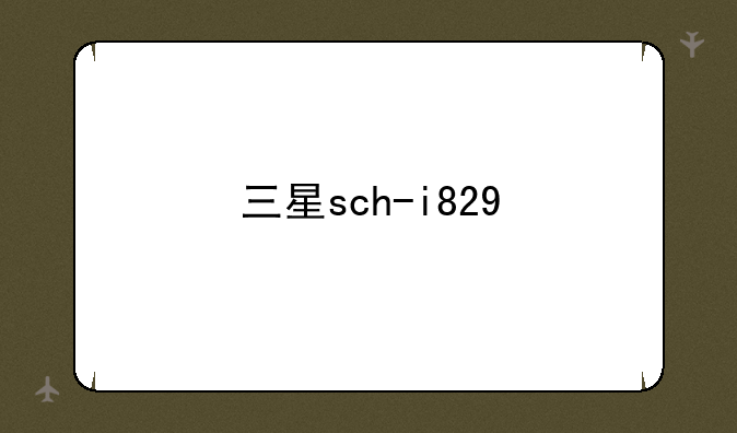 三星sch-i829