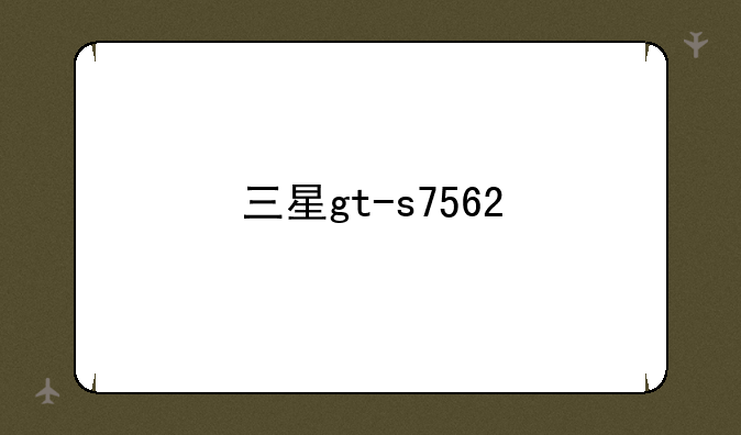 三星gt-s7562